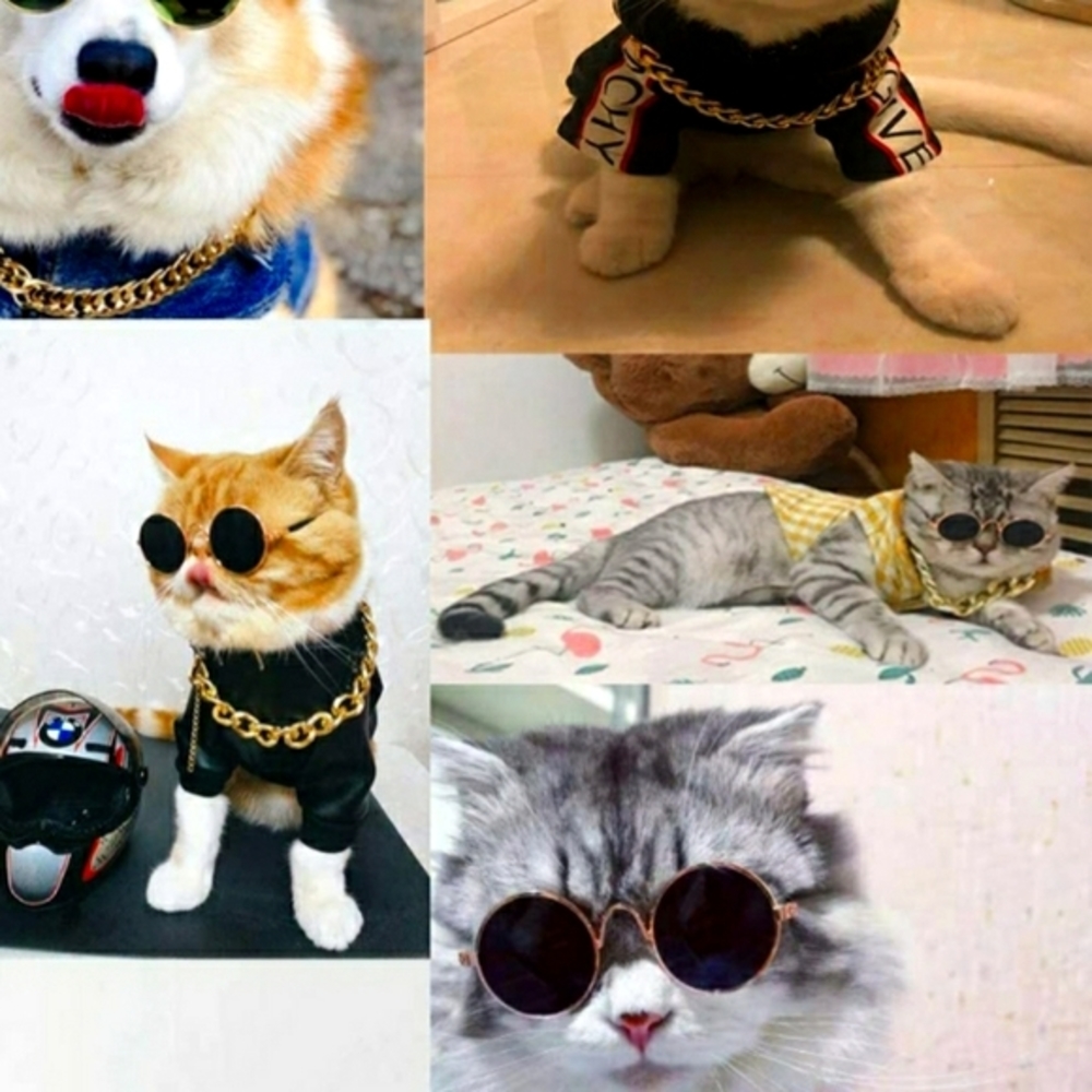 🎉HP🎉Cat Necklaces/ Collars